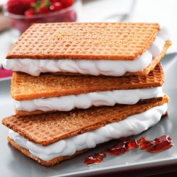 Snack Collection Box 5 - Vaffeljern - Tefal