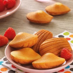 Snack Collection Box 15 - Madeleines - Tefal