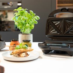 Sandwichtoaster - Premium - Sort - Witt