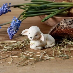 Etly Klarborg forr og pske, lam Lammi